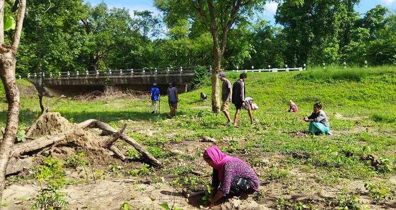 बाँकेमा यो वर्ष ६८‍.३४ हेक्टर खाली जमिनमा वृक्षरोपण